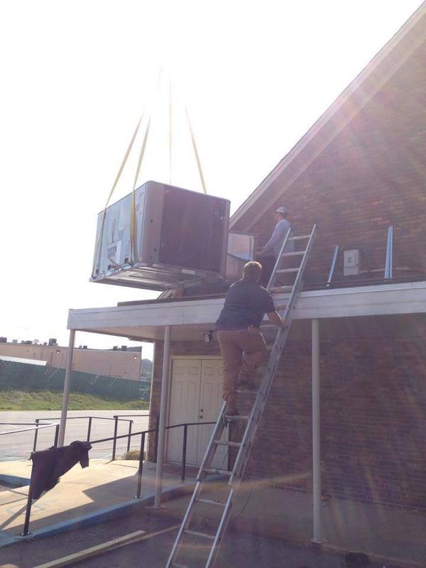 10168095 648999781839764 565583765 N