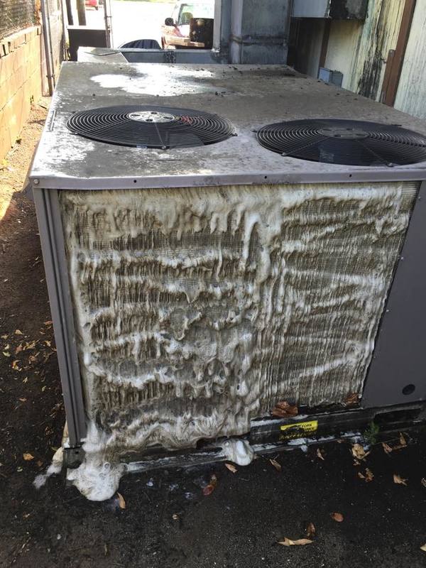 11800616 907685589304514 8223655685065706283 N