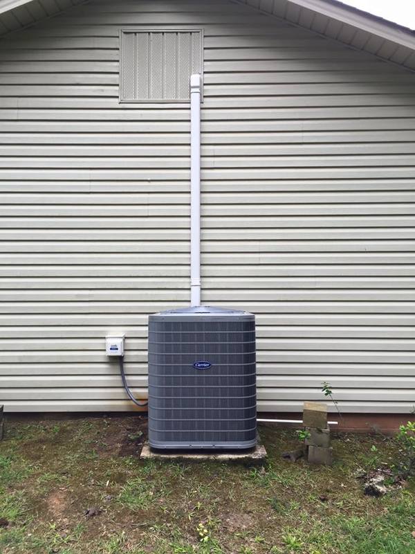 11892201 923287987744274 5919317429327509553 N