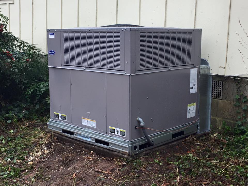 12718136 1028636230542782 6970792701268287557 N