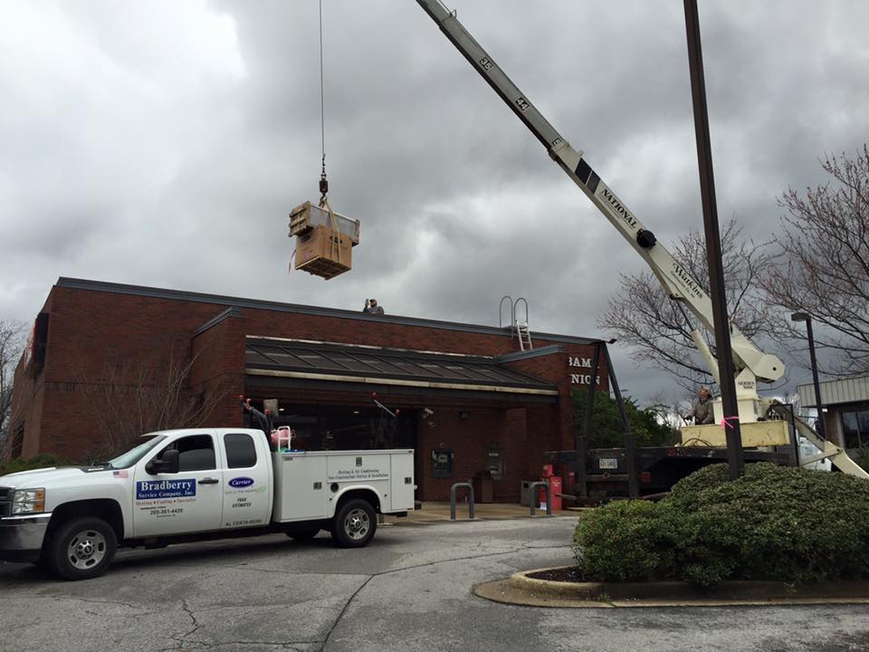 12799054 1028636257209446 5603214172110790923 N