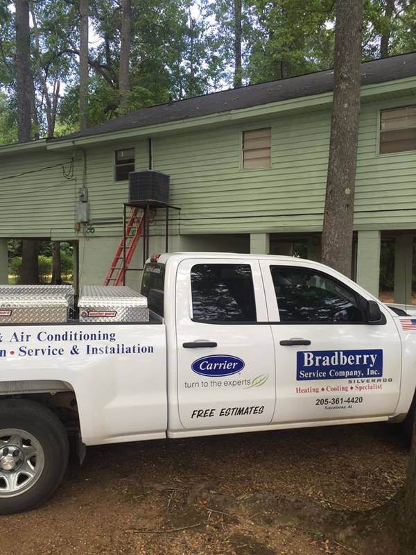 14238107 1187336421339428 6612496826446418388 N