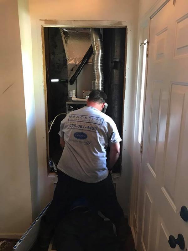 18527793 1510094029063664 8906068822023296344 N