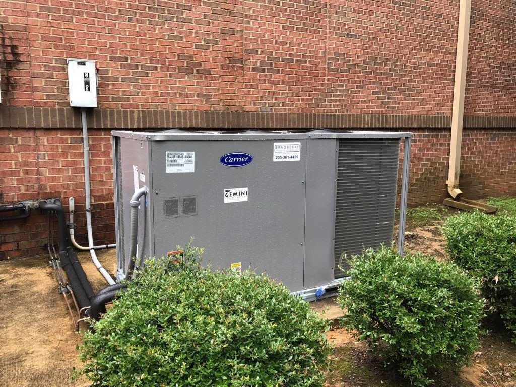 19702643 1577028545703545 1734190284489927949 O