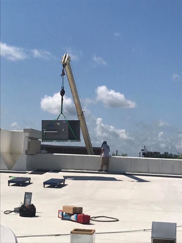 19748744 1577028065703593 2449605789953419611 N