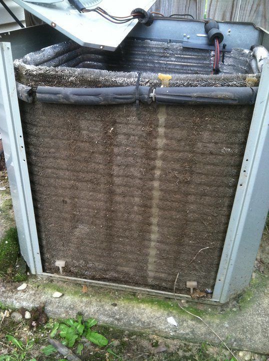 207921 139097419496672 1735711 N