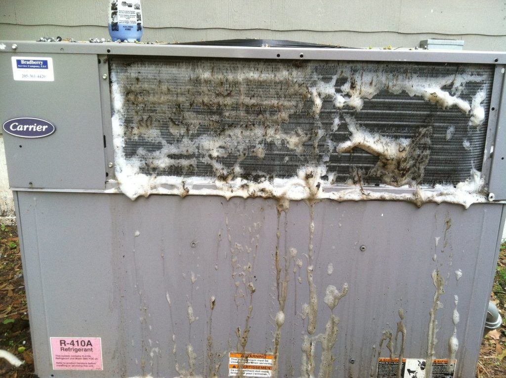 210193 137545412985206 5921528 O